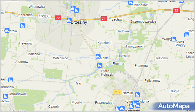 mapa Zalesie gmina Brzeziny, Zalesie gmina Brzeziny na mapie Targeo