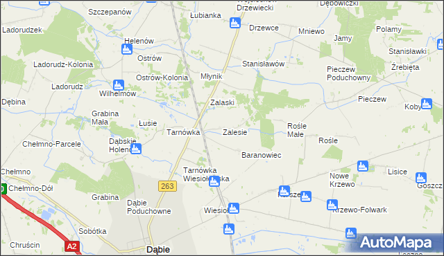 mapa Zalesie gmina Dąbie, Zalesie gmina Dąbie na mapie Targeo