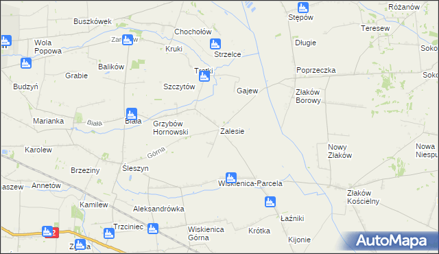 mapa Zalesie gmina Zduny, Zalesie gmina Zduny na mapie Targeo
