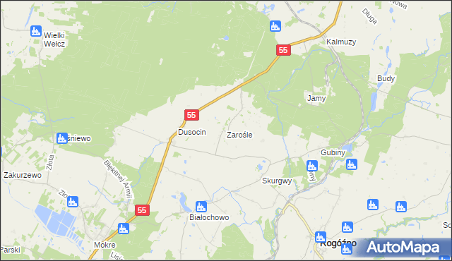mapa Zarośle gmina Rogóźno, Zarośle gmina Rogóźno na mapie Targeo