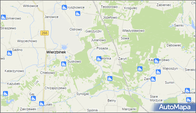 mapa Zielonka gmina Wierzbinek, Zielonka gmina Wierzbinek na mapie Targeo