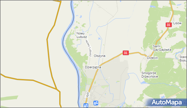 mapa Olszyna gmina Słubice, Olszyna gmina Słubice na mapie Targeo