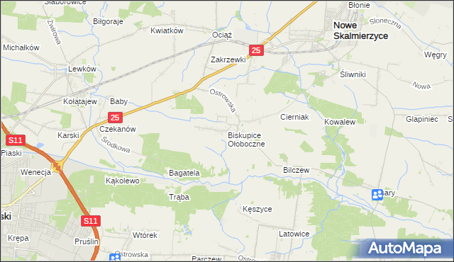 mapa Biskupice Ołoboczne, Biskupice Ołoboczne na mapie Targeo