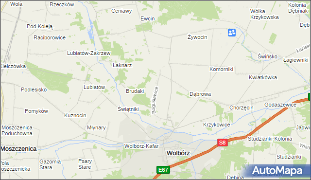 mapa Bogusławice gmina Wolbórz, Bogusławice gmina Wolbórz na mapie Targeo