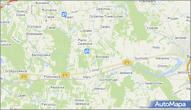 mapa Borowiec gmina Tarczyn, Borowiec gmina Tarczyn na mapie Targeo