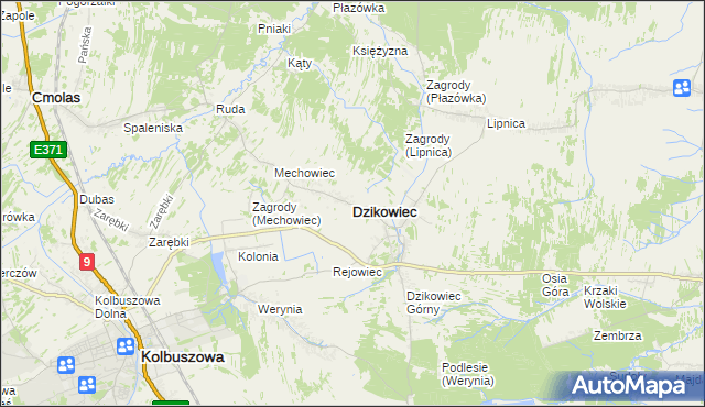 mapa Dzikowiec powiat kolbuszowski, Dzikowiec powiat kolbuszowski na mapie Targeo