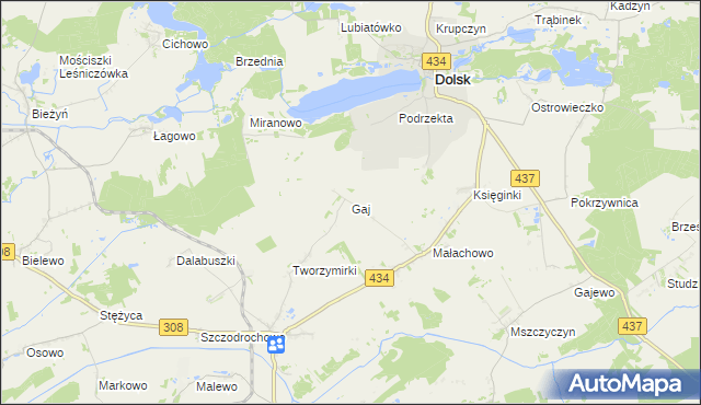 mapa Gaj gmina Gostyń, Gaj gmina Gostyń na mapie Targeo