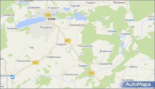mapa Pokrzywnica gmina Dolsk, Pokrzywnica gmina Dolsk na mapie Targeo
