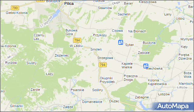 mapa Strzegowa gmina Wolbrom, Strzegowa gmina Wolbrom na mapie Targeo