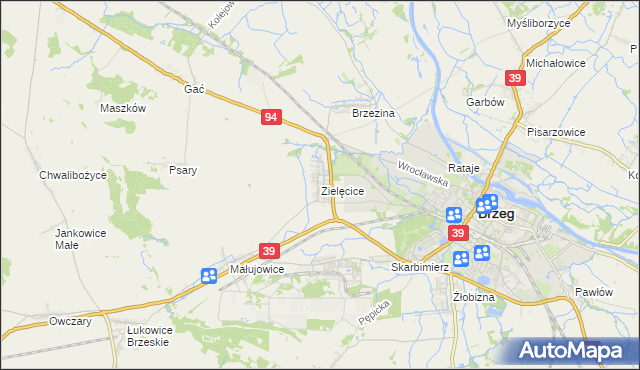 mapa Zielęcice gmina Skarbimierz, Zielęcice gmina Skarbimierz na mapie Targeo