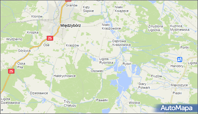 mapa Ligota Rybińska, Ligota Rybińska na mapie Targeo