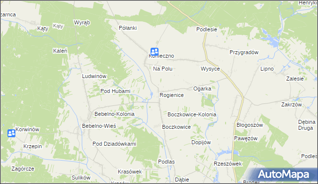 mapa Rogienice gmina Włoszczowa, Rogienice gmina Włoszczowa na mapie Targeo