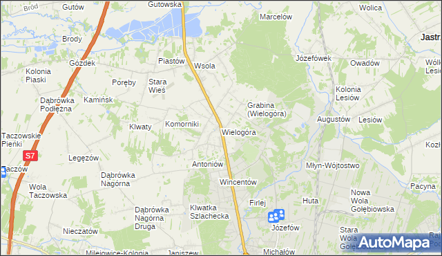 mapa Wielogóra gmina Jedlińsk, Wielogóra gmina Jedlińsk na mapie Targeo