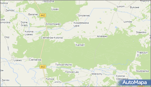 mapa Kamień gmina Pyzdry, Kamień gmina Pyzdry na mapie Targeo