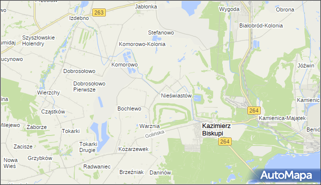 mapa Nieświastów, Nieświastów na mapie Targeo