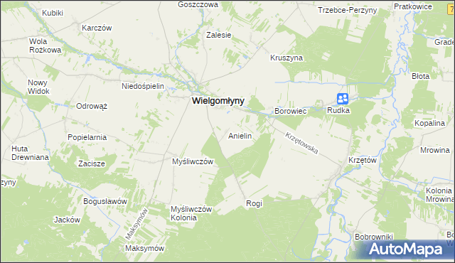 mapa Anielin gmina Wielgomłyny, Anielin gmina Wielgomłyny na mapie Targeo