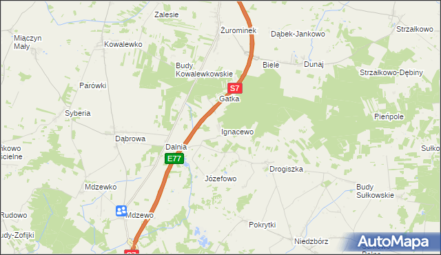 mapa Ignacewo gmina Strzegowo, Ignacewo gmina Strzegowo na mapie Targeo