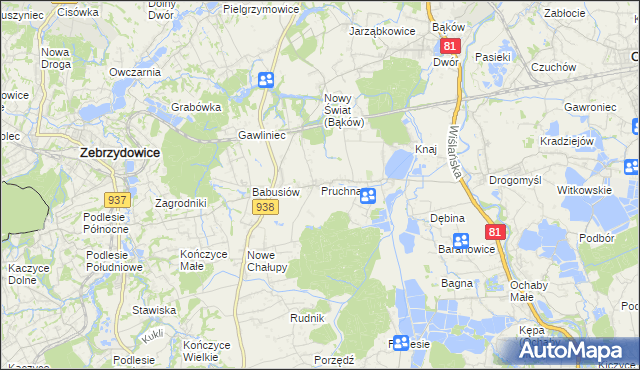 mapa Pruchna, Pruchna na mapie Targeo