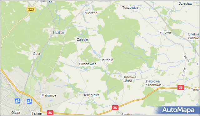 mapa Ustronie gmina Lubin, Ustronie gmina Lubin na mapie Targeo