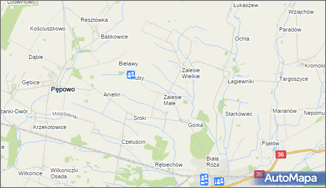 mapa Zalesie Małe, Zalesie Małe na mapie Targeo