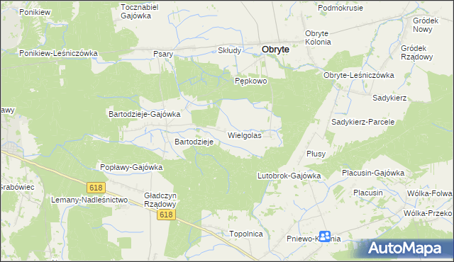 mapa Wielgolas gmina Obryte, Wielgolas gmina Obryte na mapie Targeo
