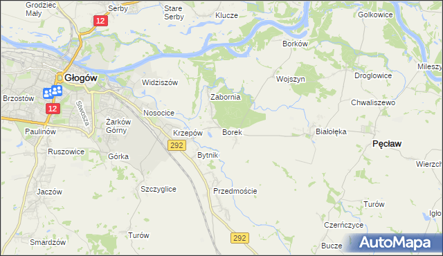 mapa Borek gmina Głogów, Borek gmina Głogów na mapie Targeo