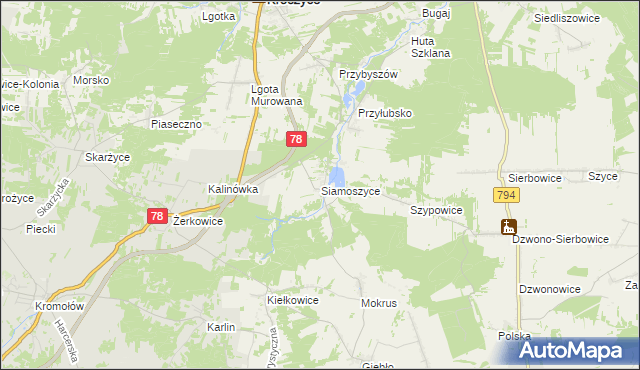 mapa Siamoszyce, Siamoszyce na mapie Targeo