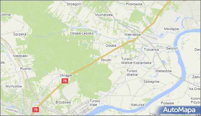 mapa Strużki, Strużki na mapie Targeo