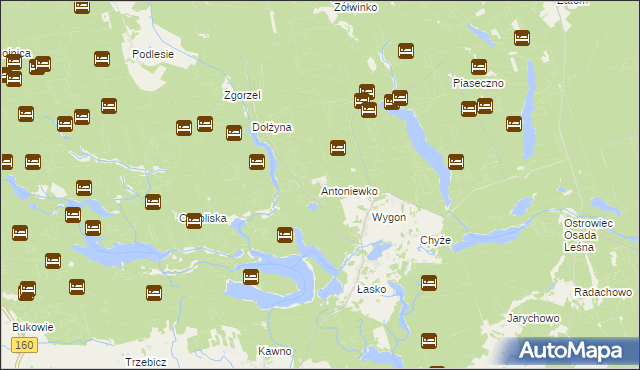 mapa Antoniewko, Antoniewko na mapie Targeo