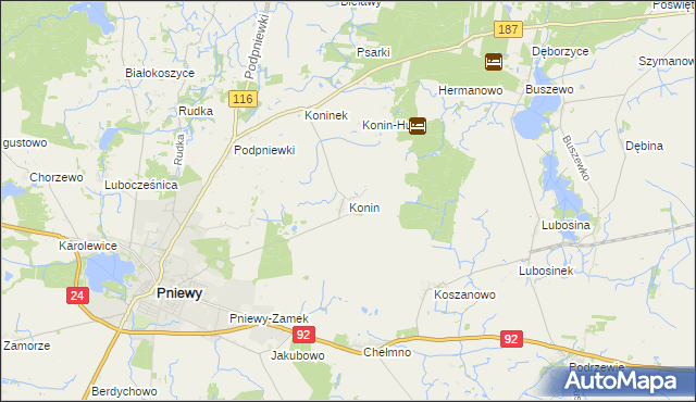 mapa Konin gmina Pniewy, Konin gmina Pniewy na mapie Targeo