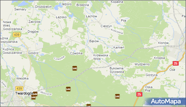 mapa Królewska Wola gmina Międzybórz, Królewska Wola gmina Międzybórz na mapie Targeo