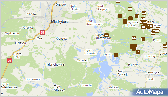 mapa Ligota Rybińska, Ligota Rybińska na mapie Targeo