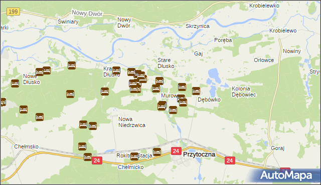 mapa Murowiec, Murowiec na mapie Targeo