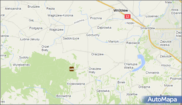 mapa Oraczew gmina Wróblew, Oraczew gmina Wróblew na mapie Targeo