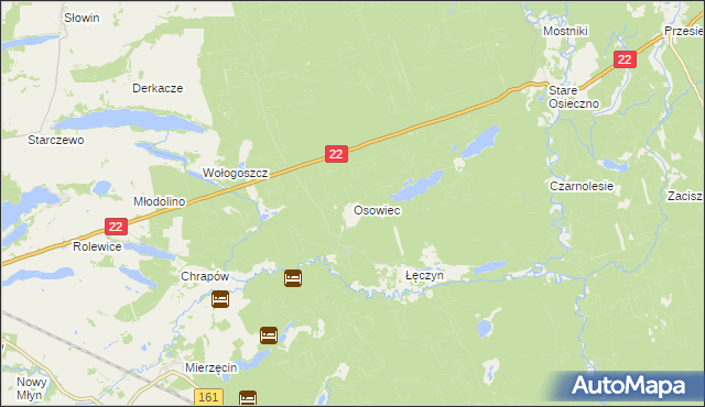 mapa Osowiec gmina Dobiegniew, Osowiec gmina Dobiegniew na mapie Targeo
