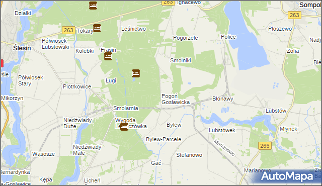 mapa Pogoń Gosławicka, Pogoń Gosławicka na mapie Targeo