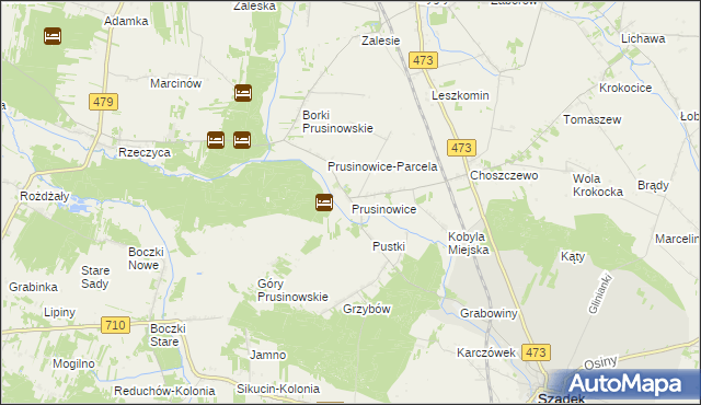 mapa Prusinowice gmina Szadek, Prusinowice gmina Szadek na mapie Targeo