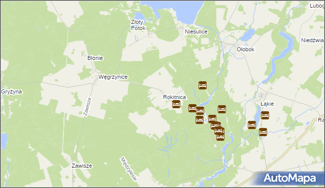 mapa Rokitnica gmina Skąpe, Rokitnica gmina Skąpe na mapie Targeo