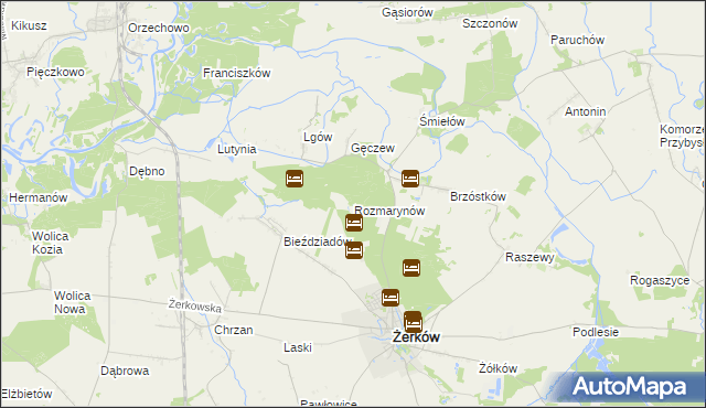 mapa Rozmarynów, Rozmarynów na mapie Targeo