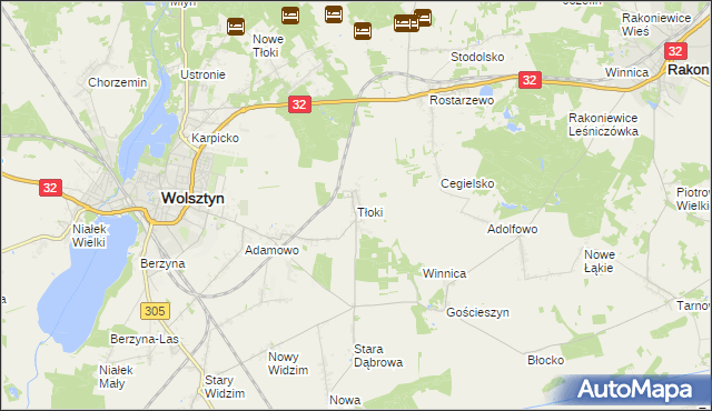 mapa Tłoki gmina Wolsztyn, Tłoki gmina Wolsztyn na mapie Targeo
