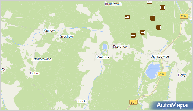 mapa Wełmice, Wełmice na mapie Targeo