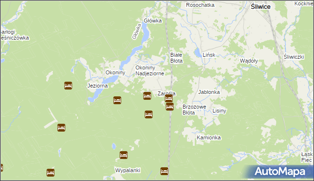 mapa Zarośla gmina Śliwice, Zarośla gmina Śliwice na mapie Targeo