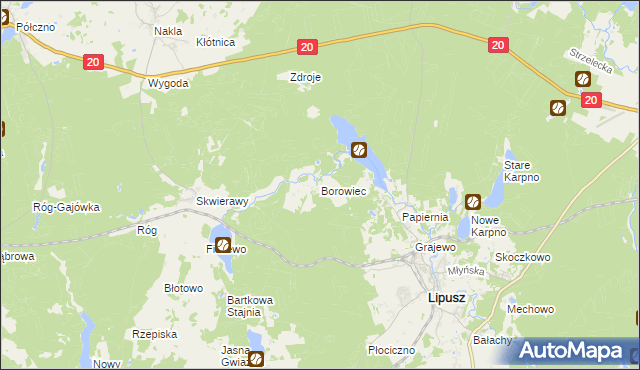 mapa Borowiec gmina Lipusz, Borowiec gmina Lipusz na mapie Targeo