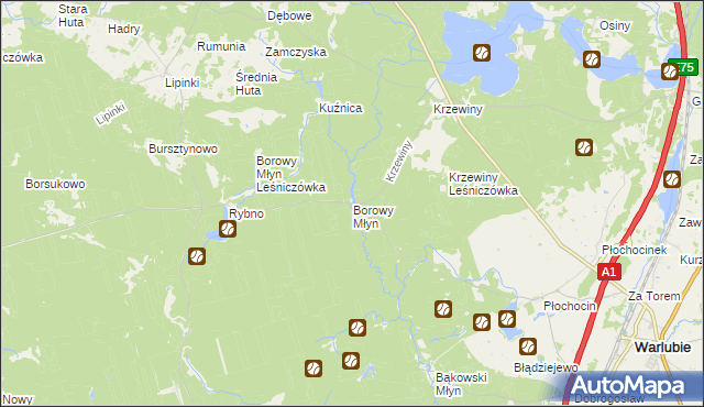 mapa Borowy Młyn gmina Warlubie, Borowy Młyn gmina Warlubie na mapie Targeo