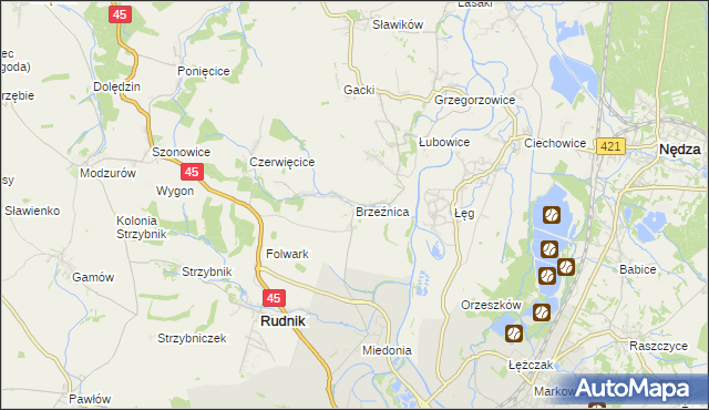 mapa Brzeźnica gmina Rudnik, Brzeźnica gmina Rudnik na mapie Targeo