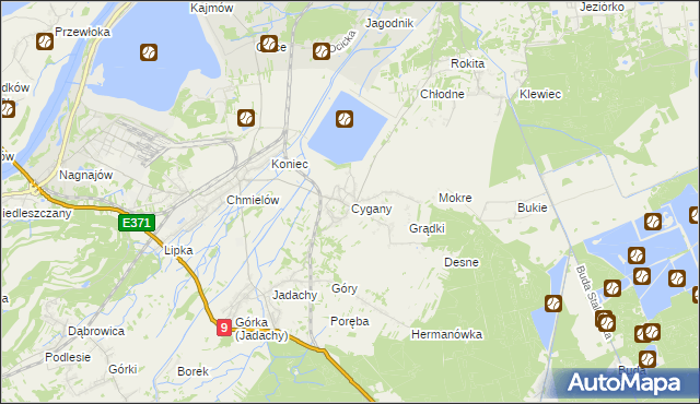mapa Cygany gmina Nowa Dęba, Cygany gmina Nowa Dęba na mapie Targeo