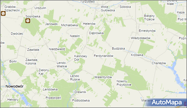 mapa Ferdynandów gmina Adamów, Ferdynandów gmina Adamów na mapie Targeo