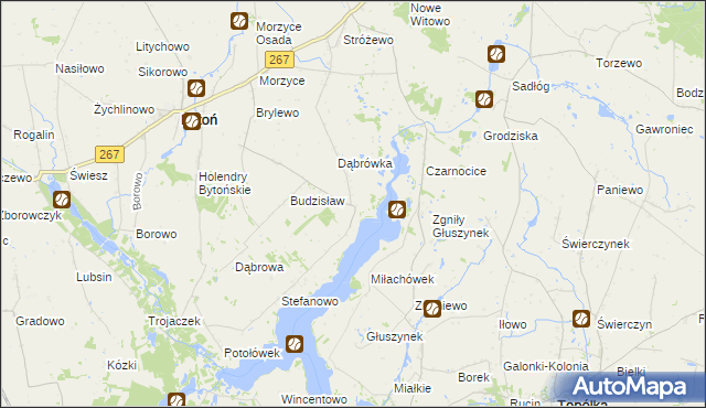 mapa Głuszyn gmina Bytoń, Głuszyn gmina Bytoń na mapie Targeo