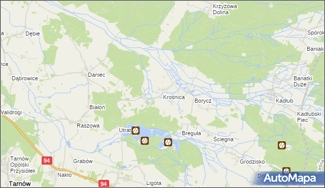 mapa Krośnica gmina Izbicko, Krośnica gmina Izbicko na mapie Targeo