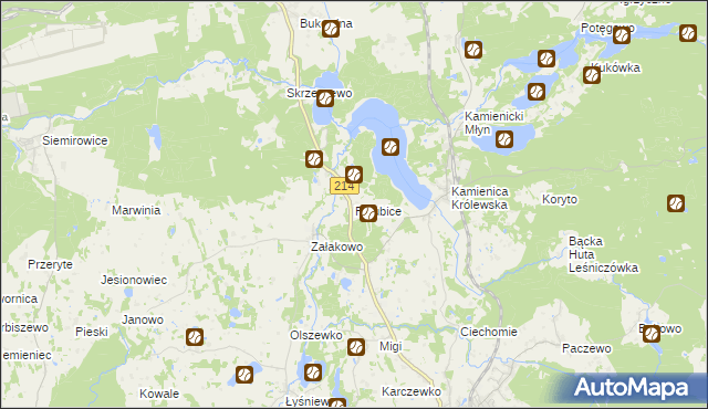 mapa Pałubice, Pałubice na mapie Targeo